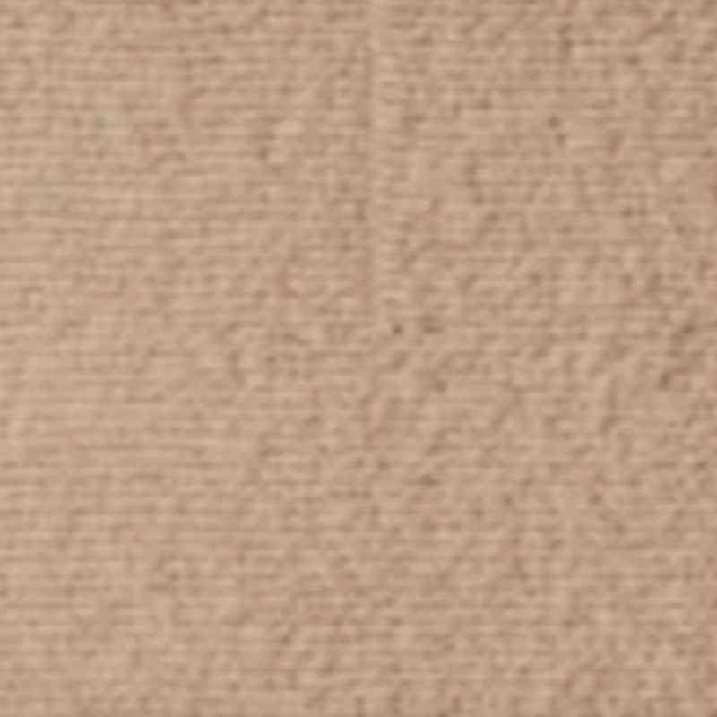 菊水化学工業株式会社_リュウ